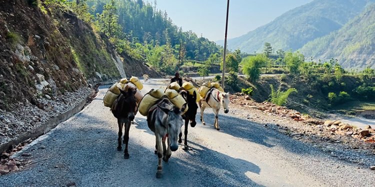 भेरी करिडोरको सतह चाँडै छिचोलिने