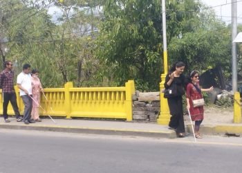 दृष्टिविहीनलाई बाटो देखाउँदै ‘गुगल’