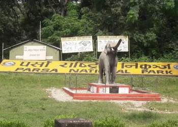 निकुञ्ज वरिपरि पर्यटकीय संरचना बढ्दै