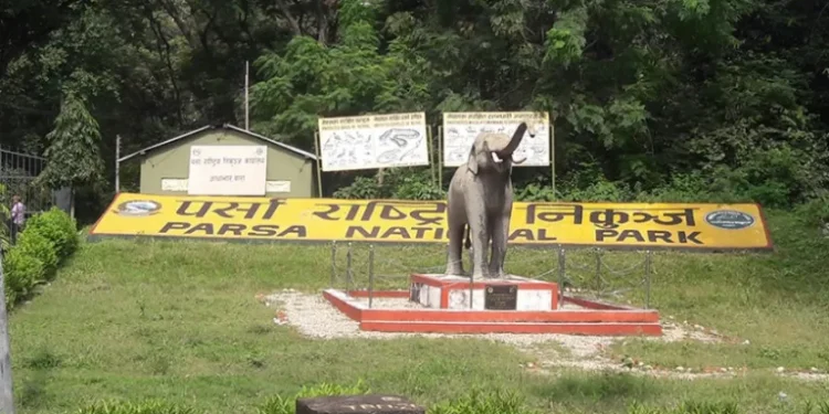 निकुञ्ज वरिपरि पर्यटकीय संरचना बढ्दै