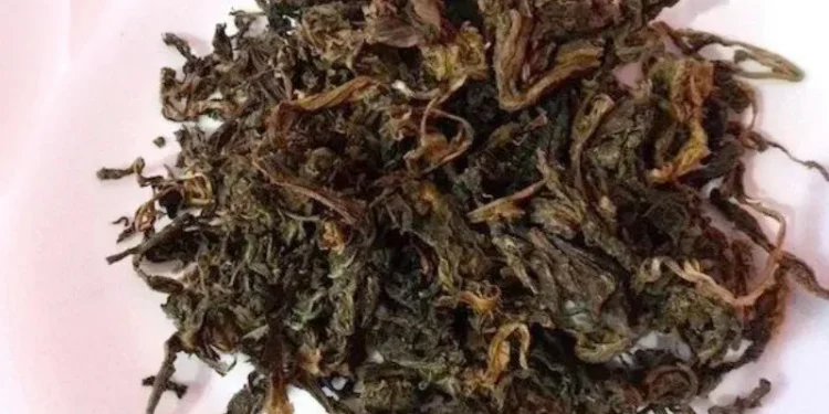 हेटौँडाको गुन्द्रुकलाई सरकारी गुणस्तरको मान्यता