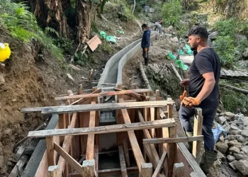 इलामको माइजोगमाईमा साना सिँचाइ कार्यक्रम