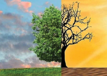 सन् २०२३ मा जलवायु र मौसमी प्रकोपबाट एसिया सबैभन्दा बढी प्रभावित
