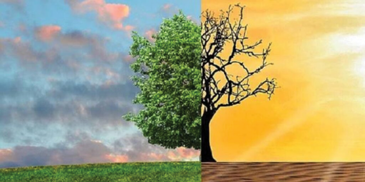 सन् २०२३ मा जलवायु र मौसमी प्रकोपबाट एसिया सबैभन्दा बढी प्रभावित