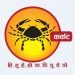 कर्कट राशी भएका व्यक्तिले जान्नुपर्ने केही तथ्य