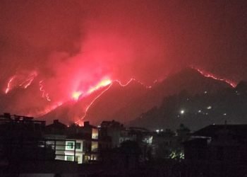 पर्वतका ६० ठाउँमा आगलागी : १४ सय हेक्टर वन सखाप