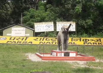 बासस्थानमै चिडियाखाना निर्माण गरिँदै
