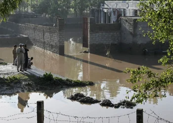 पाकिस्तानमा भारी वर्षाले ७१ जनाको मृत्यु, ६७ घाइते