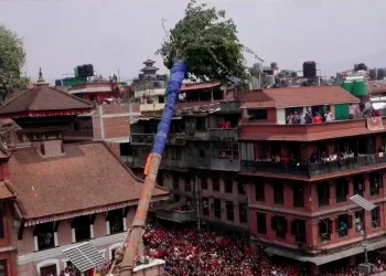 हात नभएको लिङ्गो ठड्याइयो