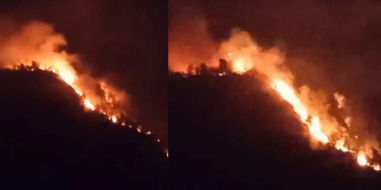 गुल्मीमा भीषण आगलागी, कम्तीमा चार दर्जन घरगोठ जले