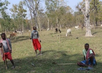 मुक्त हरवाचरवामैत्री ‘बजेट पैरवी अभियान’