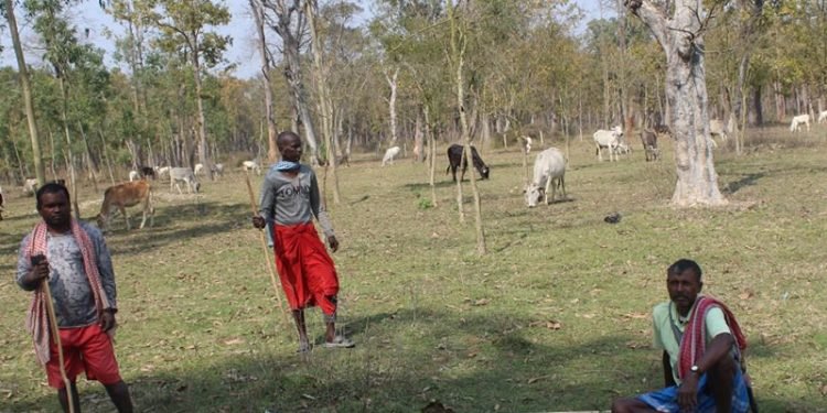 मुक्त हरवाचरवामैत्री ‘बजेट पैरवी अभियान’