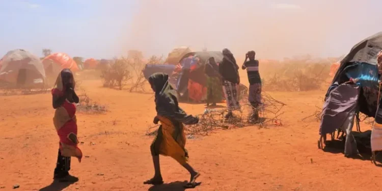 इथियोपियामा द्वन्द्वका कारण ५० हजारभन्दा बढी विस्थापित