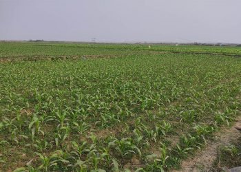 मकवानपुरमा १०१ साना सिँचाइ योजना पूरा