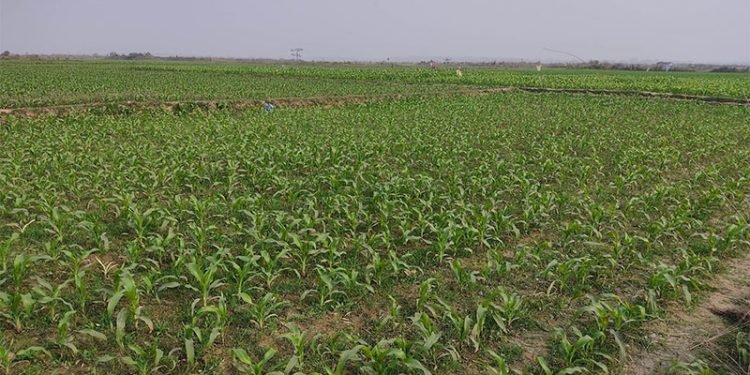 मकवानपुरमा १०१ साना सिँचाइ योजना पूरा