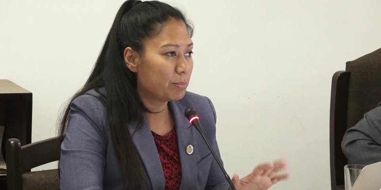 विश्वविद्यालयहरूमा दलीय हस्तक्षेप हुँदैनः शिक्षामन्त्री श्रेष्ठ