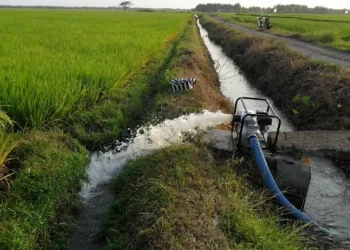 उत्पादकत्व बढाउन अनुदानमा ‘स्यालो ट्युबवेल’