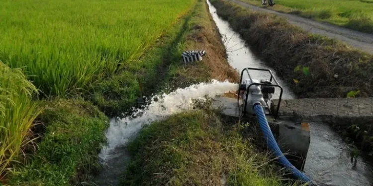 उत्पादकत्व बढाउन अनुदानमा ‘स्यालो ट्युबवेल’