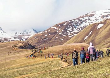 डोल्पामा जेठ १० गतेदेखि यार्सा सङ्कलन खुला