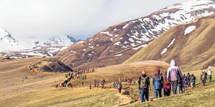 डोल्पामा जेठ १० गतेदेखि यार्सा सङ्कलन खुला