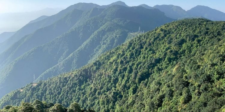 वनको घनत्वसम्बन्धी ११ सूचकमध्ये छ को प्रगति न्यून, चारको शून्य