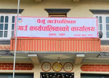 भैँसी पाल्ने किसानलाई गाउँपालिकाको अनुदान