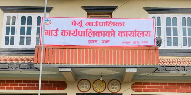 भैँसी पाल्ने किसानलाई गाउँपालिकाको अनुदान