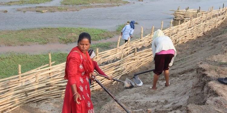 भूक्षय नियन्त्रणमा जैविक तटबन्ध प्रभावकारी