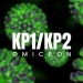 ‘केपी–१ र केपी–२’ कोरोना भेरियन्ट कति खतरनाक ?