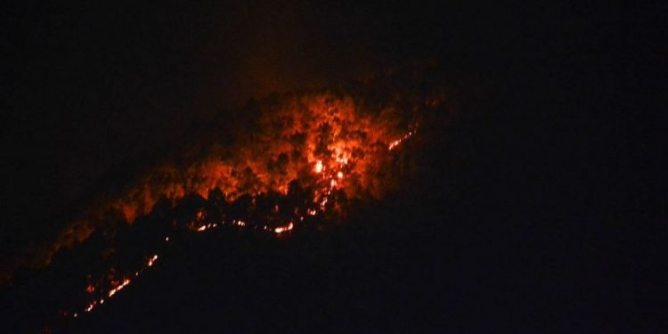 रामेछापमा डढेलोमा परेर एक महिलाको मृत्यु