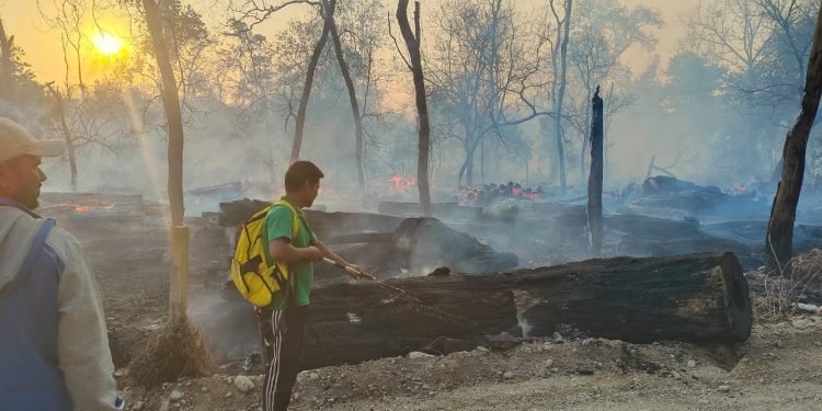 डढेलोबाट जङ्गलका स्रोत जोगाउनै मुस्किल