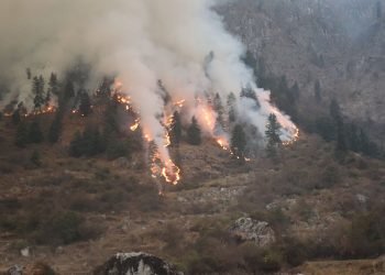 डढेलोले वातावरण प्रदूषित, बिरामीको संख्या बढ्यो