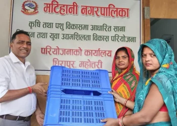 डाले घाँसको बीउ पाएपछि मटिहानीका किसान दंग