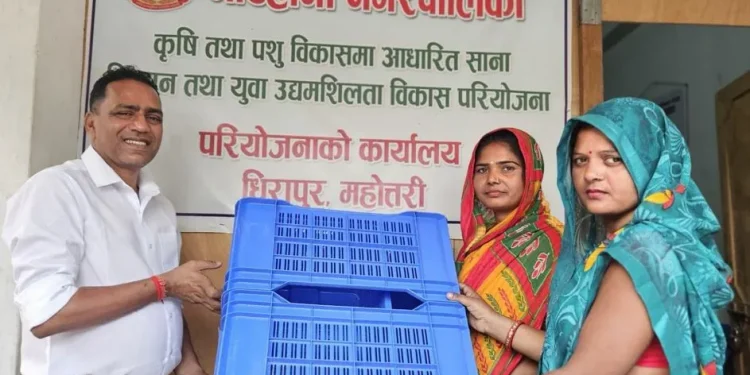 डाले घाँसको बीउ पाएपछि मटिहानीका किसान दंग