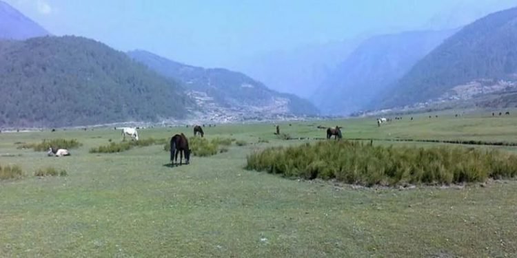 ढोरपाटनमा बढ्दै पर्यटक : दश महिनामै साढे चार करोड राजस्व सङ्कलन