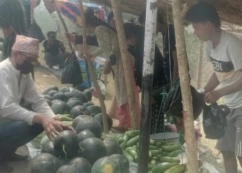 बगरमा तर्बुजा खेती, राजमार्गमा बिक्री
