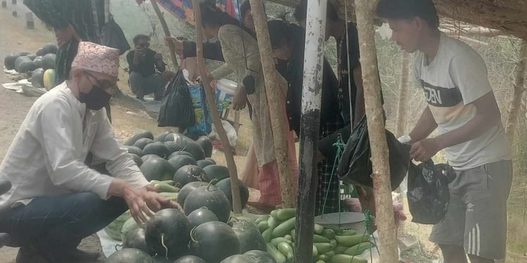 बगरमा तर्बुजा खेती, राजमार्गमा बिक्री