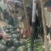 बगरमा तर्बुजा खेती, राजमार्गमा बिक्री