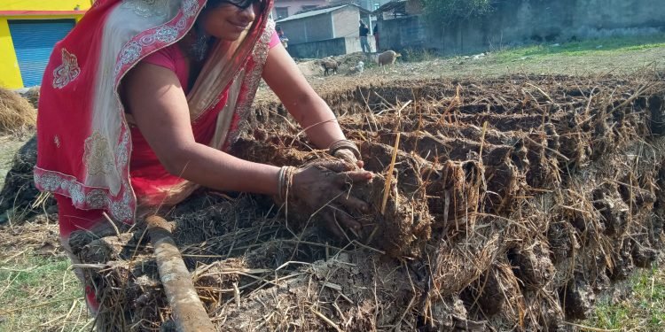 प्रचण्ड गर्मीमा ‘गुइँठा’ बनाउँदै महोत्तरीका गृहिणी