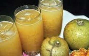 कच्चा पदार्थ अभावले बेलको जुस उद्योग बन्द