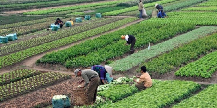 विषादी प्रयोगबारे सचेत बन्दै किसान