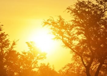 तातो हावा ‘लू’ ले जनजीवन कष्टकर