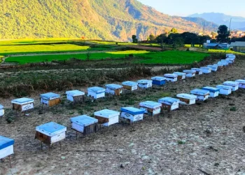 मौरीपालनका निम्ति अनुदान बढाउन किसानको माग