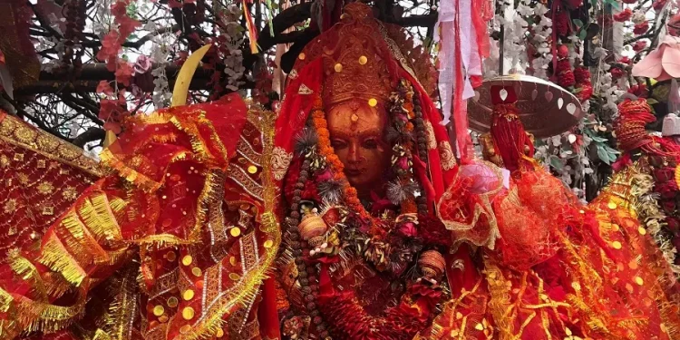 पाथीभरामा ६९ लाखभन्दा बढी भेटी सङ्कलन