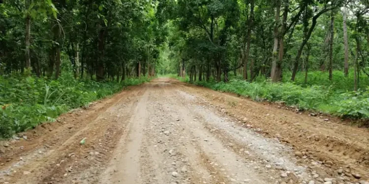 जङ्गलभित्रको राजमार्गमा तीव्र गति र ओभरटेक निषेध