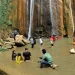 गर्मी छल्न जलबिरे झरनामा पर्यटक