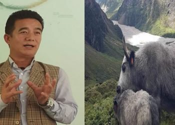 हेलम्बु गाउँपालिका जुट्यो चौँरी संरक्षणमा