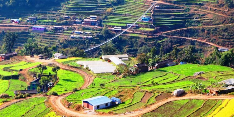 एक मुरी मकै फल्ने बारीमा ५० हजारभन्दा बढीको तरकारी उत्पादन