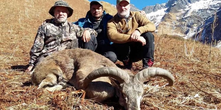 ढोरपाटनमा दोस्रो याममा १० नाउर र सात झारलको सिकार