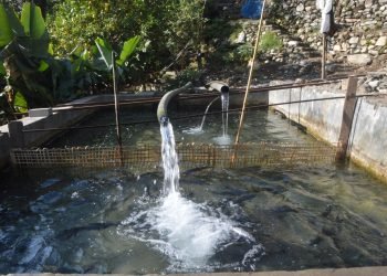 ‘खोर्लाबेँसीमा उत्पादित ट्राउट माछाको माग धान्नै सकिएन’